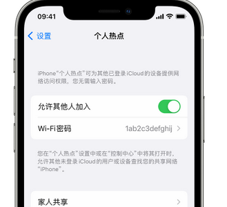 兰考apple服务站点分享iPhone上个人热点丢失了怎么办 