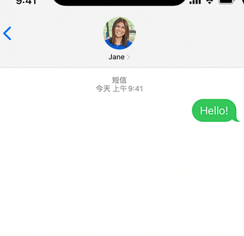 兰考apple维修iPhone上无法正常发送iMessage信息