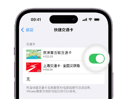 兰考apple维修点分享iPhone上更换Apple Pay快捷交通卡手绘卡面 