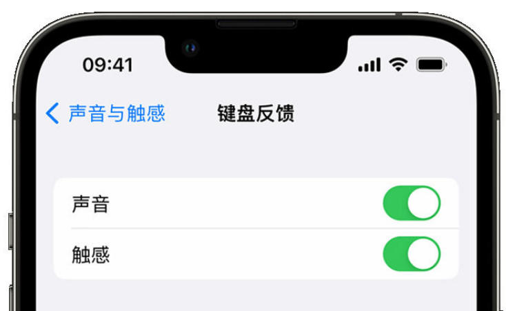 兰考苹果手机维修分享iPhone 14触感键盘使用方法 