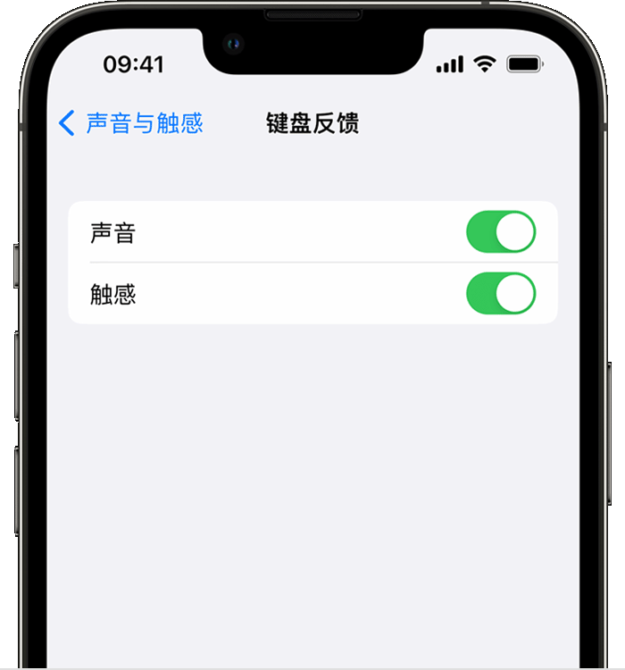 兰考苹果14维修店分享如何在 iPhone 14 机型中使用触感键盘 