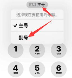 兰考苹果14维修店分享iPhone 14 Pro Max使用副卡打电话的方法 