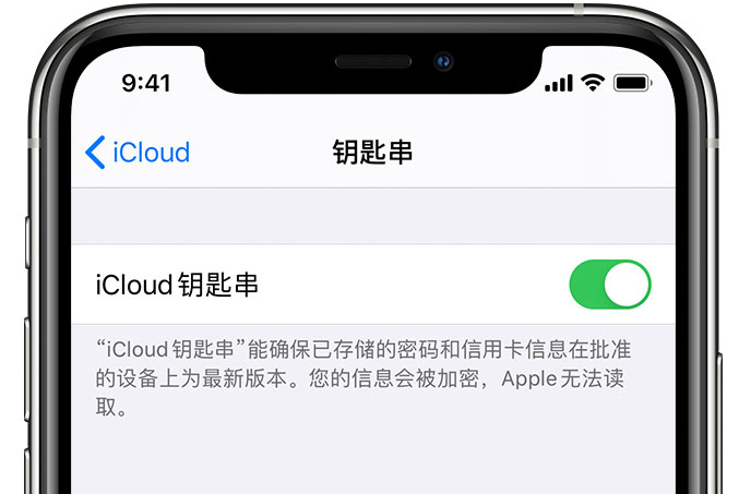 兰考苹果手机维修分享在 iPhone 上开启 iCloud 钥匙串之后会储存哪些信息 