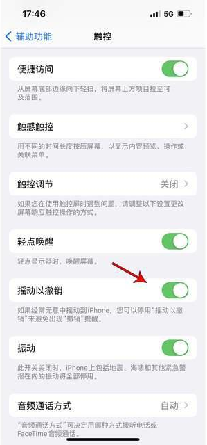 兰考苹果手机维修分享iPhone手机如何设置摇一摇删除文字 